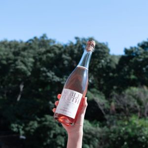 Mindful-sparks-noble-truth-cranberry-rosè