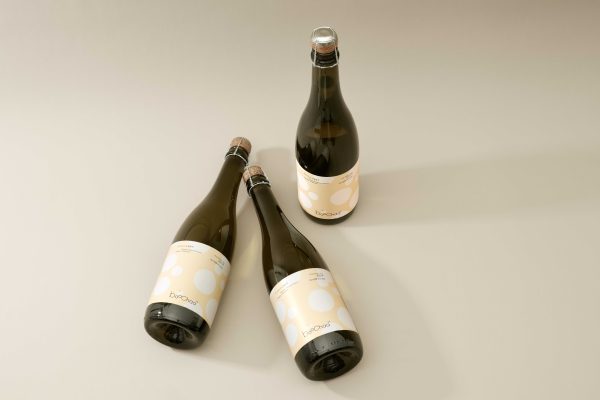 Boochaa Anji White Tea Kombucha
